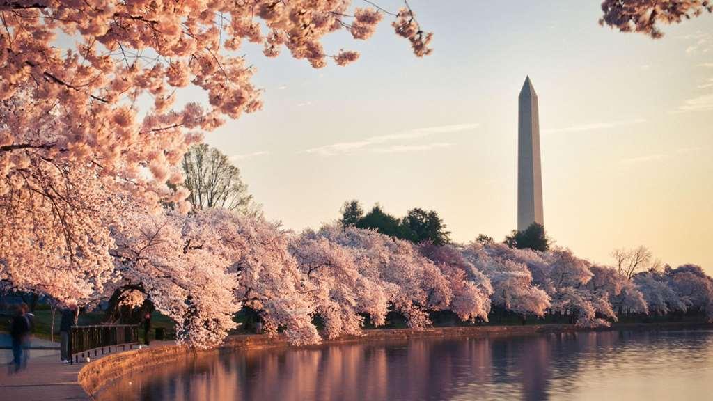 Hyatt Place Washington Dc/White House Comodidades foto