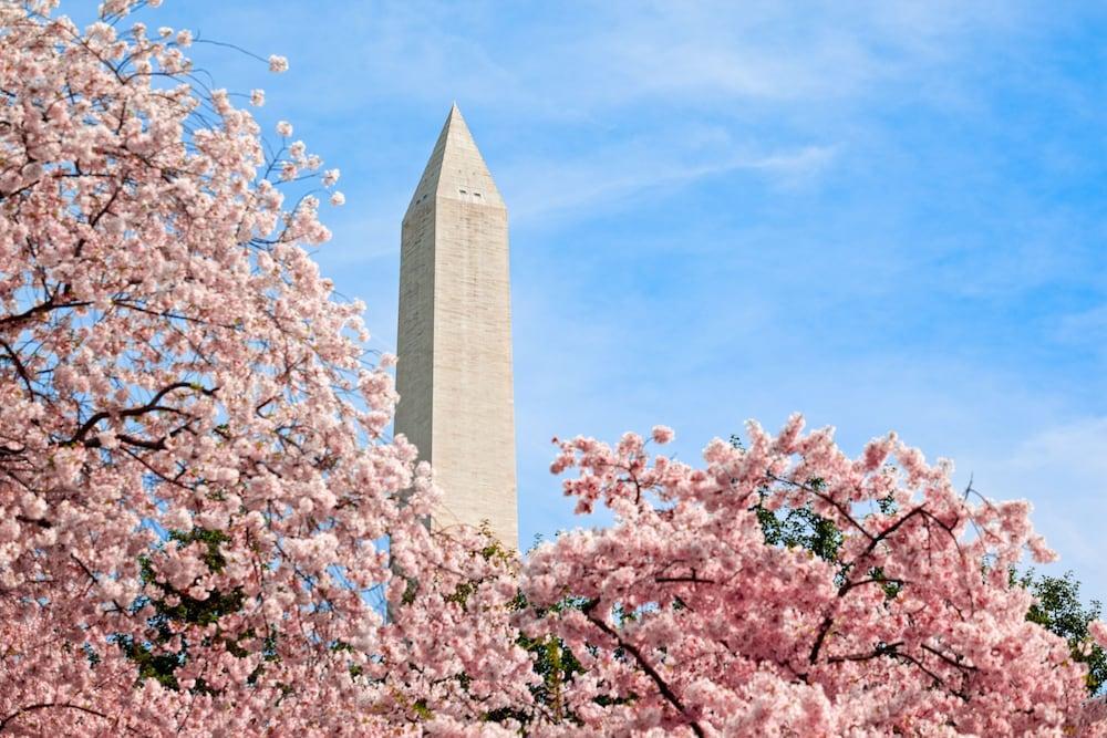 Hyatt Place Washington Dc/White House Exterior foto